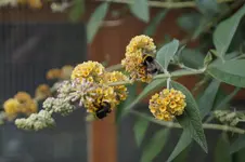 _DSC1938.webp