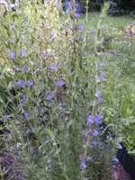 BILD7609.webp