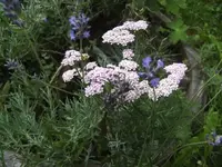 BILD7607.webp