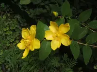 BILD7534.webp