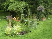 BILD7530.webp