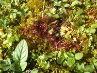 BILD7503.webp