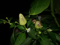 IMG_20170719_221308.webp