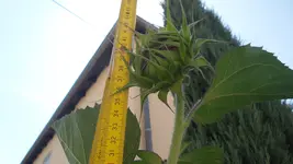 20170719_121041.webp
