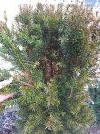IMG_20170718_165426.jpg