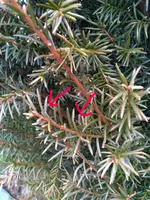 IMG_20170716_200628.jpg