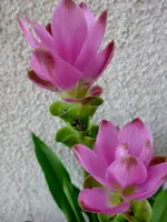 P1010113.webp