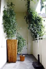 _MG_0078.webp