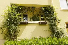 _MG_7815.webp