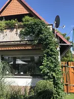 Hopfen 20.07.17.webp