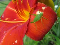 013_1024x768.webp