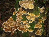 008_1024x768.webp