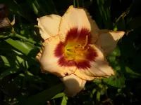 DSCI0478.webp