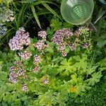 20170720_195031.webp