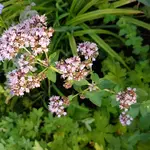 20170720_195348.webp