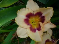DSCI0484.webp