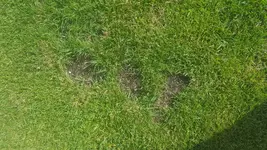 20170720_171454.webp