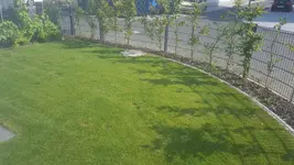 20170720_171420.webp