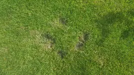 20170720_171433.webp
