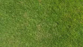 20170720_171438.webp