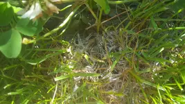 20170526_105650.webp