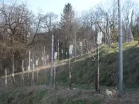 SAM_4843.webp