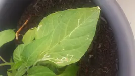 20170721_104008.jpg