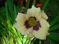 DSCI0503.webp