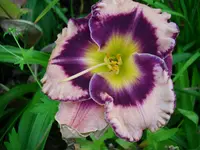DSCI0505.webp