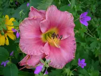 DSCI0506.webp