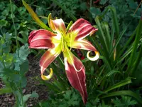 DSCN9347.webp