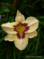 P1140260.webp