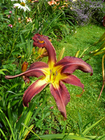 P1140269.webp