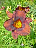 P1140280.webp
