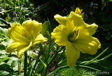 P1140311.webp