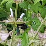 20170721_123324.webp