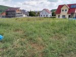 IMG_20170721_100915.jpg