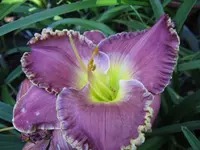 linda beck 1_1024x768.webp