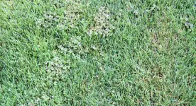 IMG_3998.webp