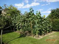 21.07 (2).webp