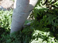 P1010442Spirale.webp