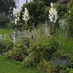 20170721_203155.webp