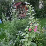 20170721_203301.webp