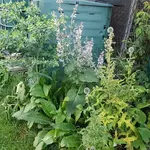 20170721_203552.webp
