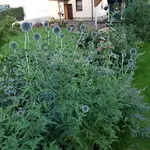 20170721_203849.webp