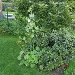20170721_204324.webp