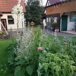 20170721_204400.webp