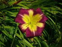 DSCI0508.webp