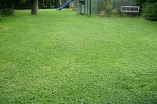 IMGP1365.JPG