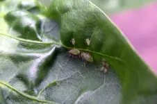 IMGP1370.webp